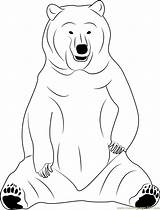 Bear Coloring Sitting Pages Coloringpages101 Designlooter Color 05kb Kids Pdf sketch template