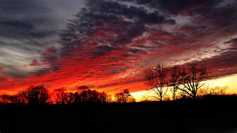 Night Trees Sky Clouds Sunset Glow Silhouette Wallpaper Nature