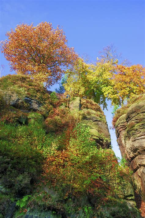 Colorful Trees In The Elbe Sandstone Mountains Photograph By Sun