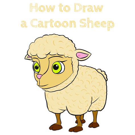 how to draw a cartoon sheep how to draw easy