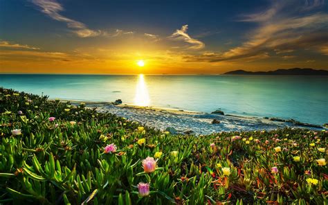 Sunset, Sea, Landscape, Flowers, Coast, Beach, Beautiful wallpaper ...