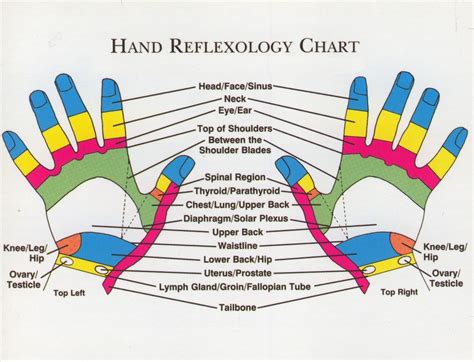 Reflexology Hand Chart Reflexology Chart Hand Reflexology