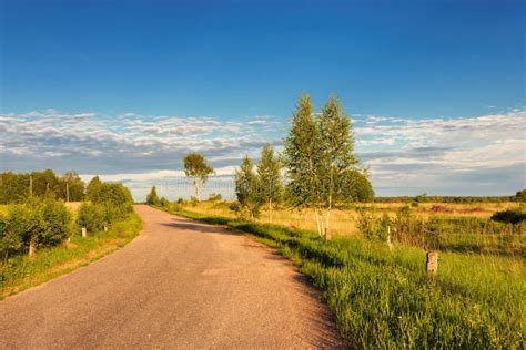 Country Road Through The Fields At Sunset Stock Photo Image Of Birch