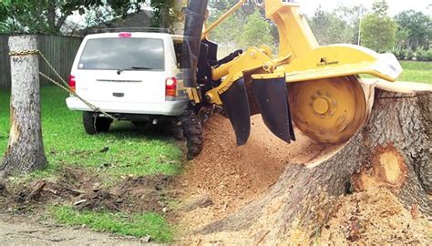 Diy Stump Removal Methods Red Cedar Inc