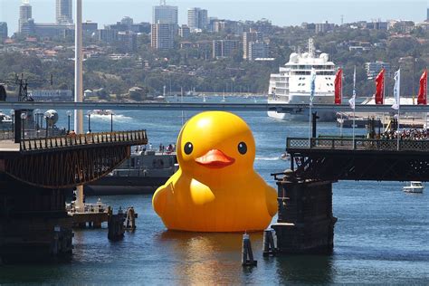 Dutch Artist Florentijn Hofman S Giant Rubber Duck Enters Cockle Bay Wharf On Opening Day Of The