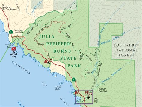 Julia Pfeiffer Burns State Park Lonely Hiker
