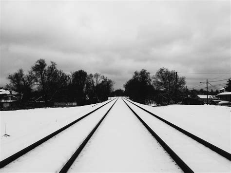 Free Images Tree Snow Winter Black And White Track Transport