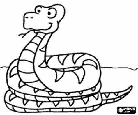 Print een kleurplaat van een slang. Kleurplaten Reptielen kleurplaat #2
