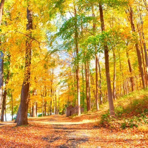 Enjoy The Best Fall Color Right Here In New Jersey