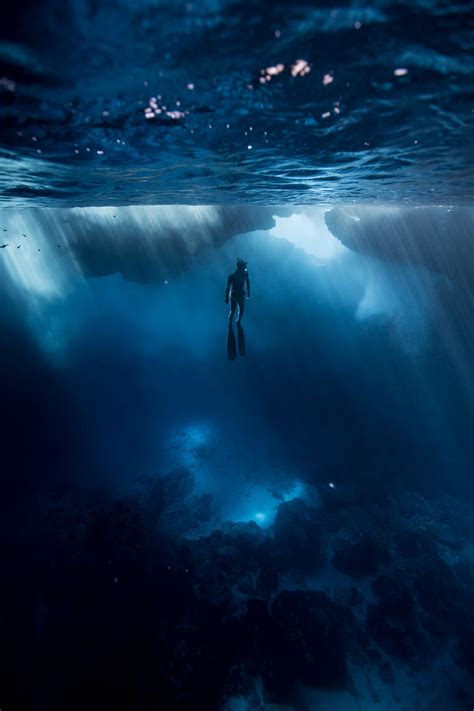 Saltwater Sanctum Underwater Photography Underwater Underwater Photos