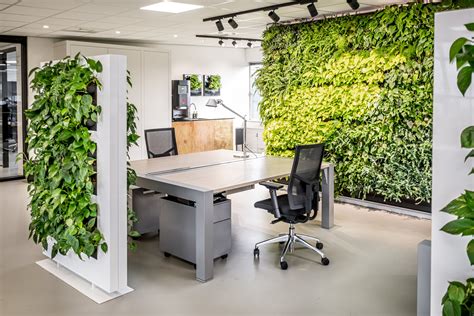 Meristem Design Office Plants Planters Living Walls And Biophilia