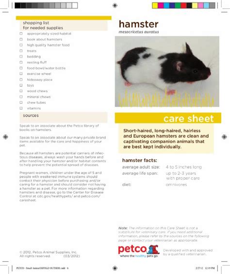 Hamster Care Sheet Hamster Care Hamster Hamster Food