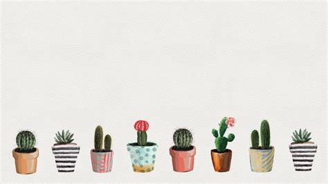 Rose Pastel Cactus Wallpaper Succulents Wallpaper Cactus Backgrounds