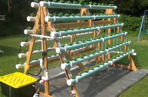 How To Build A Hydroponics System Kobo Building
