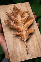 Wood Carvings Videos Pictures