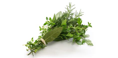 Typically, fennel is often compared to anise in taste. What herb tastes like licorice? - ProProfs Discuss