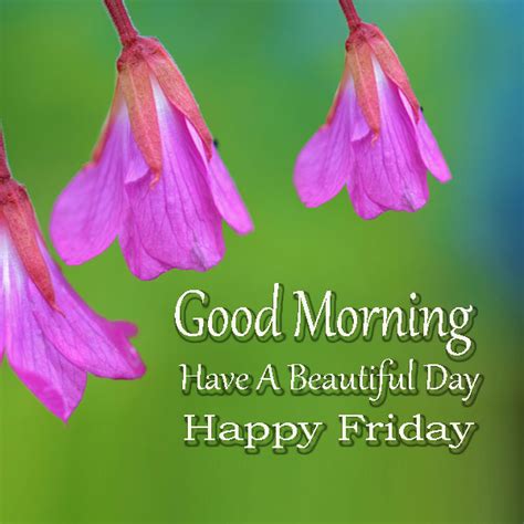 Good friday is about to come. Good morning have a beautiful friday , recyclemefree.org