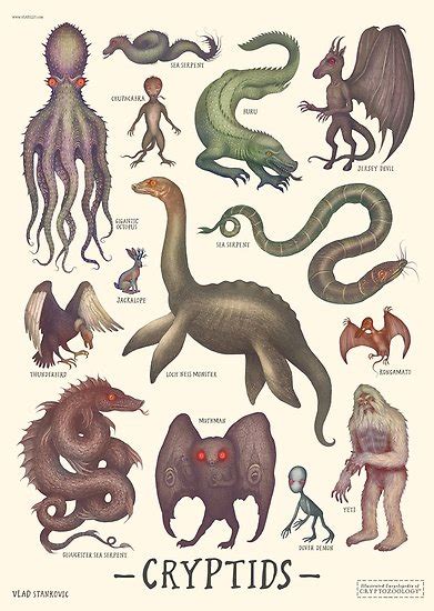 Cryptids Cryptozoology Species Poster By Vlad Stankovic Mythical