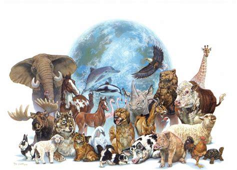4 De Octubre Se Celebra El Día De Los Animales Tiempo Libre