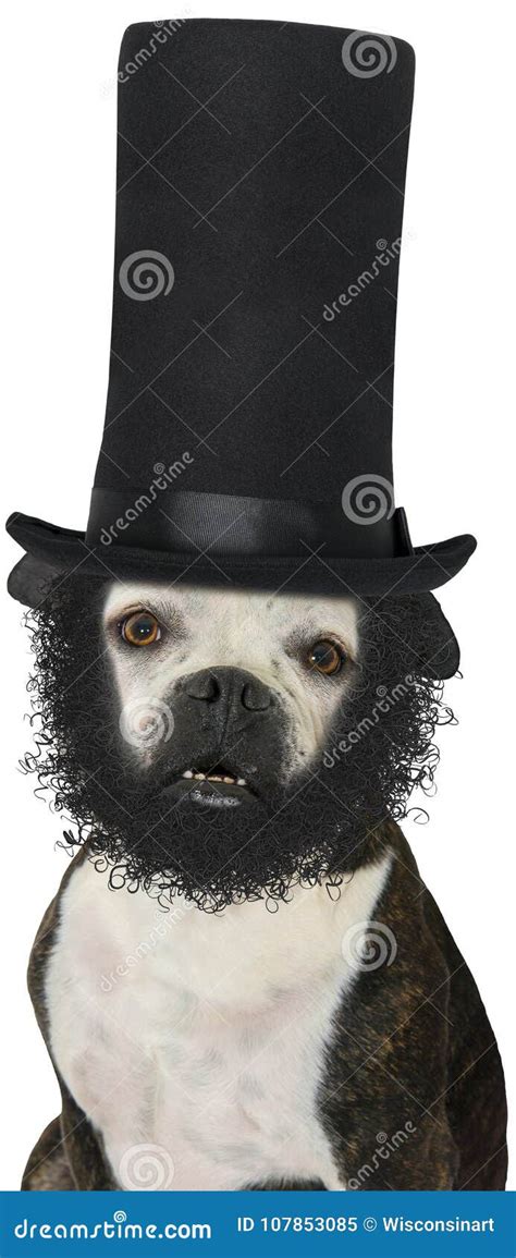 Did Abraham Lincoln Have A Dog