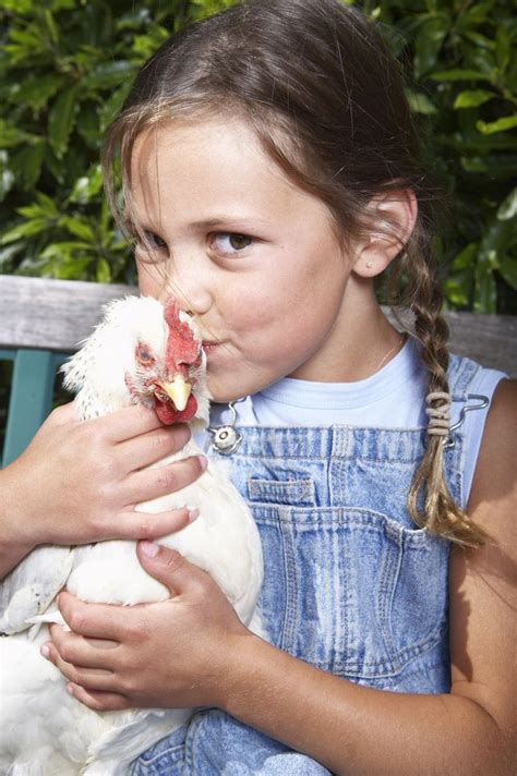 Cdc Warns Against Kissing Chickens Salmonella Outbreak Linked To Backyard Chickens