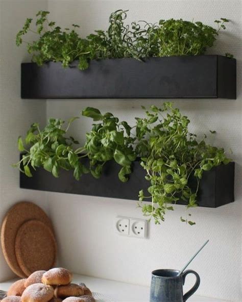 Indoor Herb Gardens On Instagram For The Kitchen Wellgood