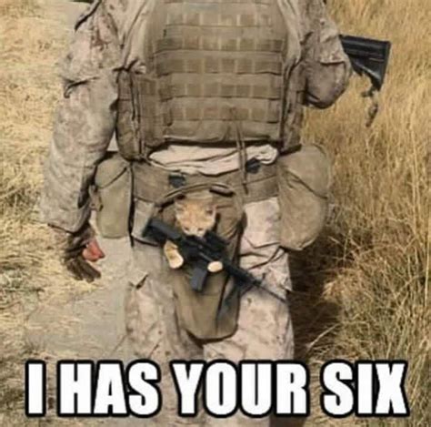 Dawe ️ Military Jokes Military Humor Funny Animals