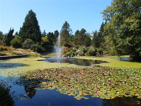 Vandusen Botanical Garden Tips Van Locals Voor Vancouver Tixnl