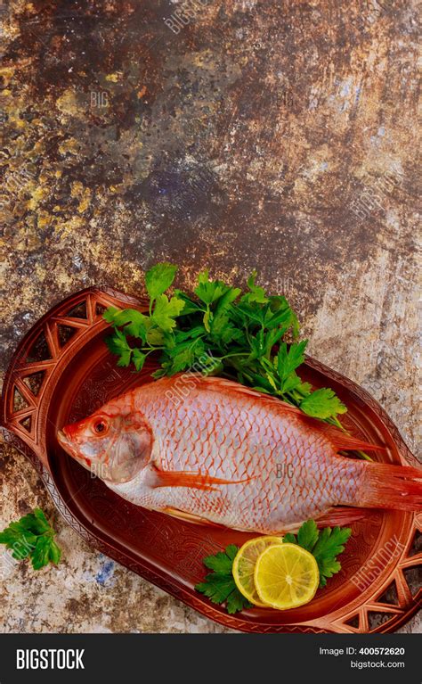 Pink Tilapia Fish Image And Photo Free Trial Bigstock