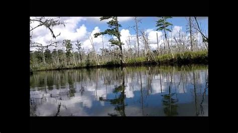 Town Creek Kayak Winnabow Nc 53113 Youtube