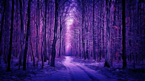 path between purple trees forest hd nature wallpapers hd wallpapers id 53908