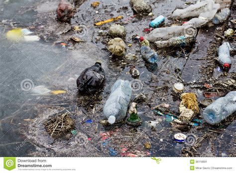 Trash gang — shake your body 04:47. 塑料瓶是什么垃圾-塑料瓶是可回收垃圾吗