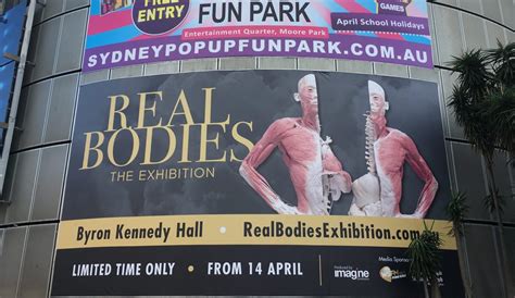 Real Bodies Controversy How Australian Museums Regulate The Display Of