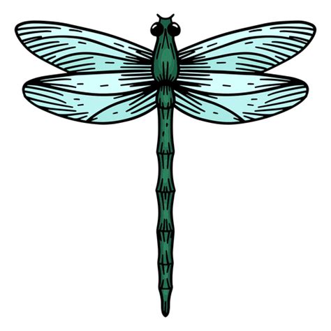 Hand Drawn Dragonfly Transparent Png And Svg Vector File