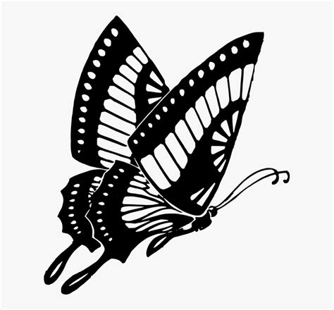 Butterfly Black Black And White Butterfly Clip Art Butterfly Clipart