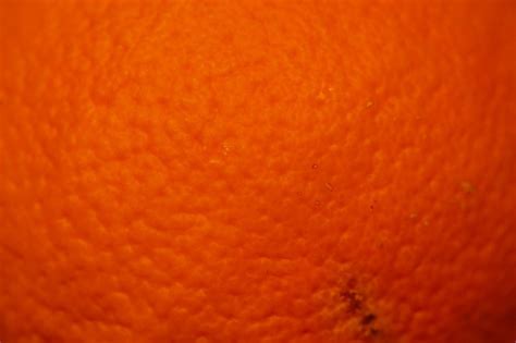 Free 21 Orange Peel Texture Designs In Psd Vector Eps