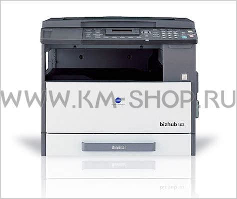 Designed for home or small offices, the 163 can be configured to function as a network. Konica Minolta bizhub 163