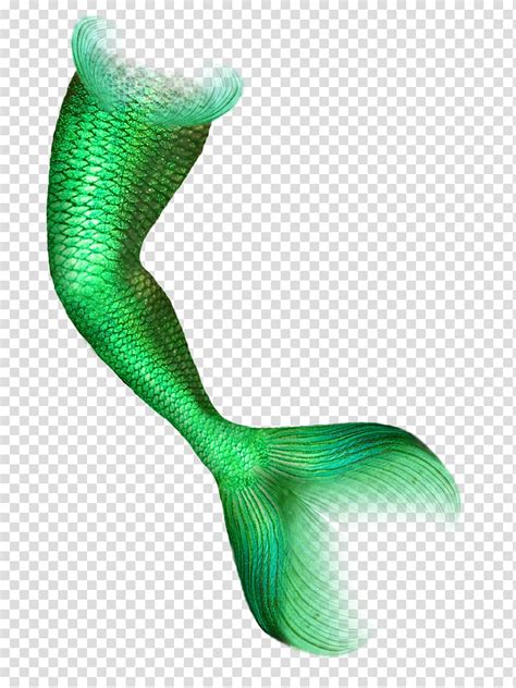 Green Mermaid Tail Illustration Mermaid Tail Mermaid Transparent