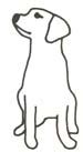 Druckfertig hunde bilder zum ausdrucken schon 27 susse hund. Download Malvorlage Dackel