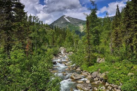 Beautiful Sunny Summer Landscape Fast Flowing Source Of Mountain River