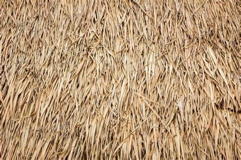 Roof Made Of Dried Leaves Of The Cogon Grass Stock Photo By ©a3701027d