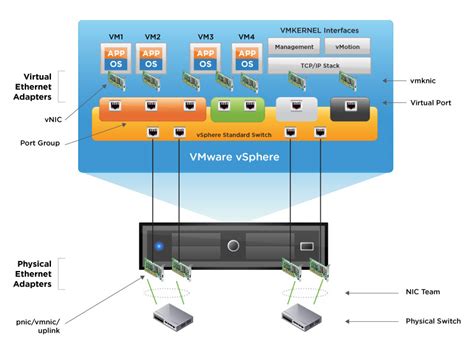 Networking Relate Multiple Physical Network Ports To Esxis Virtual