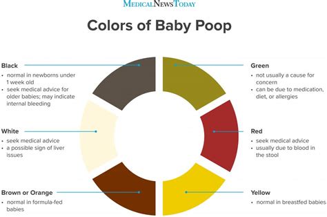 Different Colors Of Newborn Poop What You Need To Know Dixon Verse