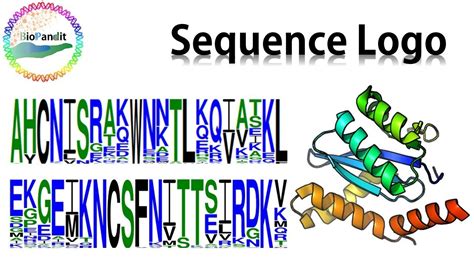 Sequence Logo 10 Free Cliparts Download Images On Clipground 2024