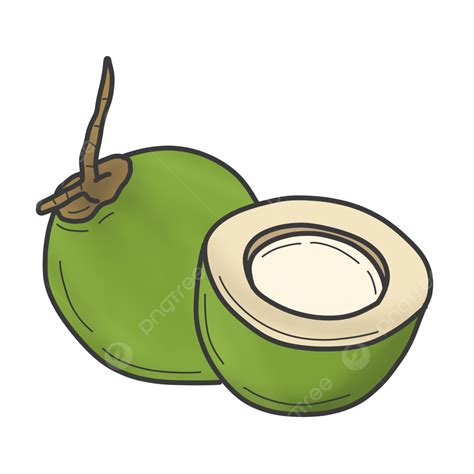 รูปภาพประกอบการ์ตูนผลไม้มะพร้าวสีเขียว Png มะพร้าว ผลไม้ การ์ตูน