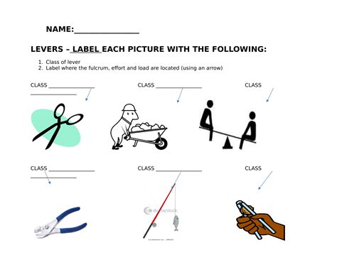 Levers Worksheet With Images Simple Machines