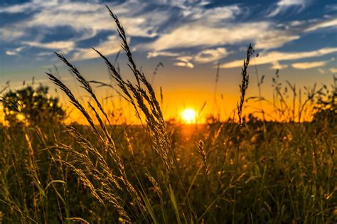 Por Do Sol No Campo Sunset Pictures Summer Sunset Landscape Photography