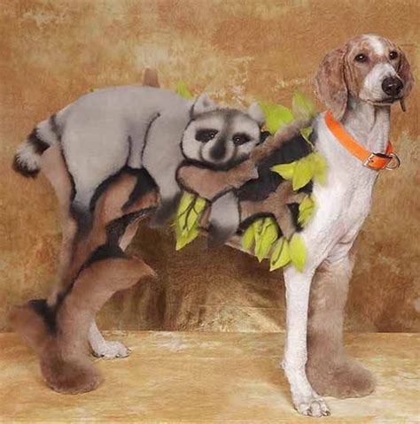This Is Another Of The Series Of Absurdly Humiliating Dog