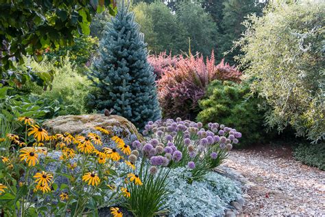 Deer Resistant Combinations For Hot Sunny Sites Le Jardinet
