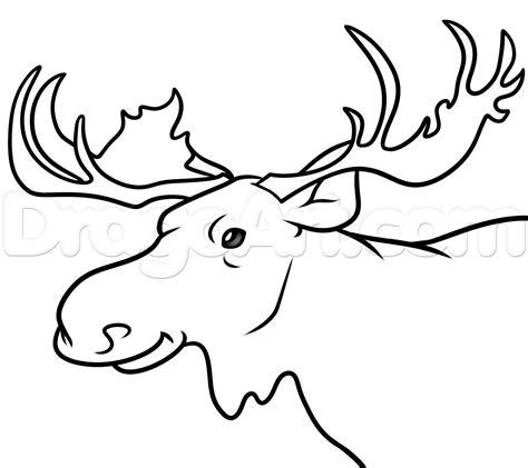 Moose Pencil Drawing At Getdrawings Free Download